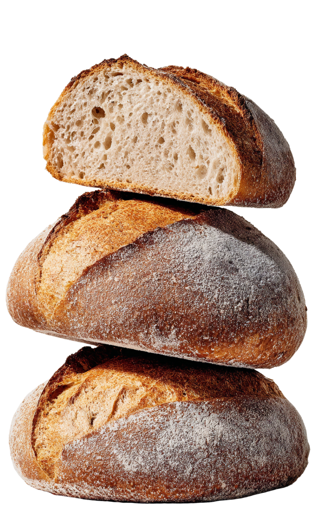 producent pieczywa leks (13)